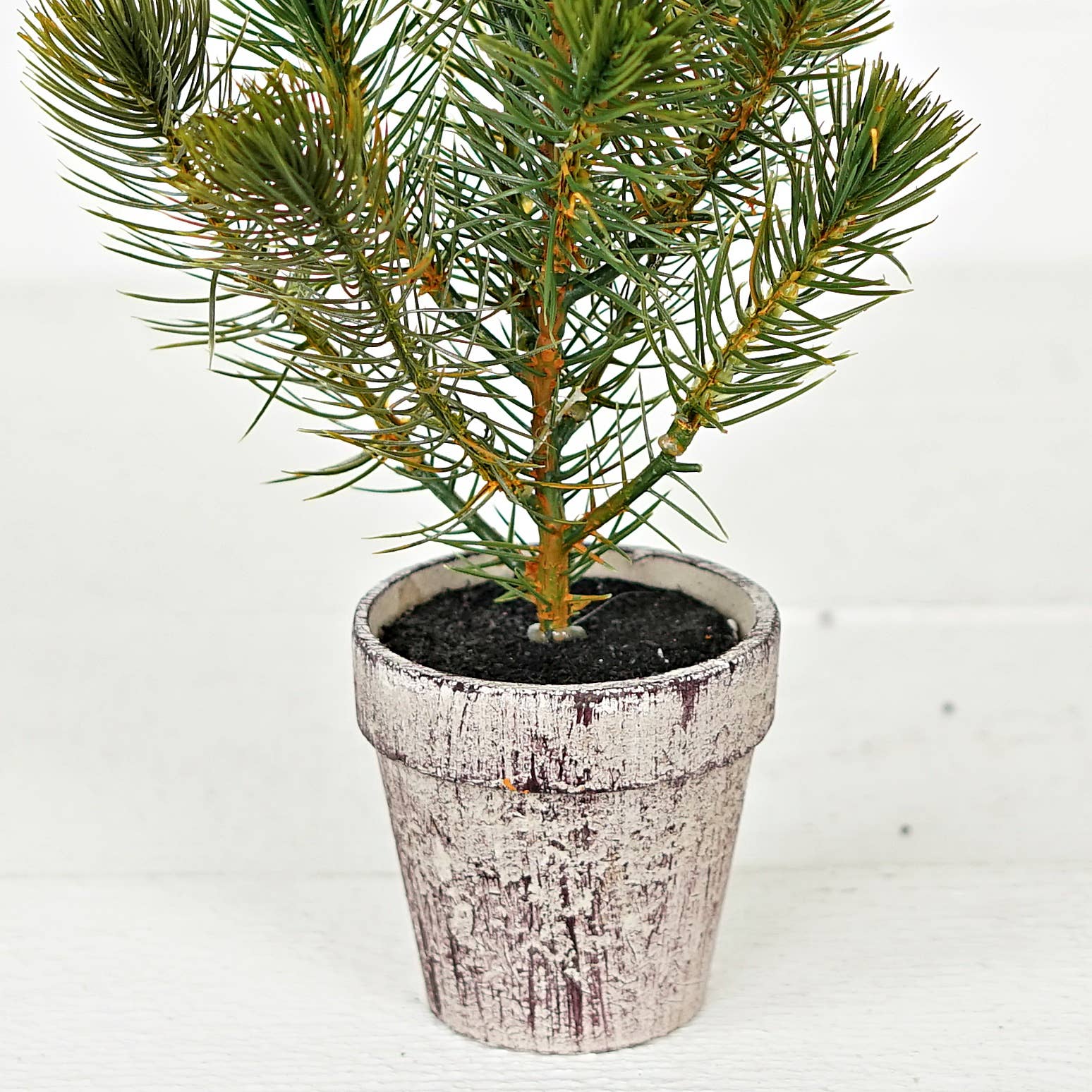 ISB72098 - 12inH Sierra Pine Mini Tree on Pot - HER Home Design Boutique