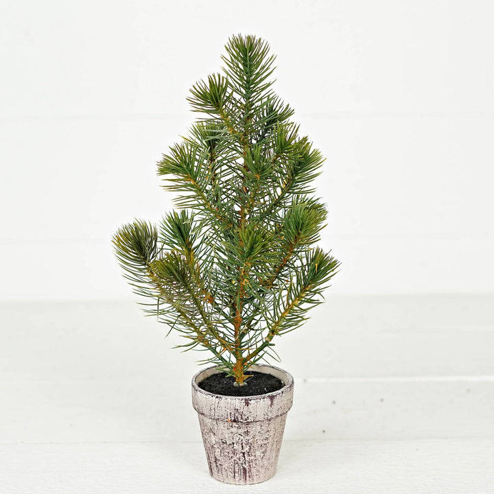 ISB72098 - 12inH Sierra Pine Mini Tree on Pot - HER Home Design Boutique