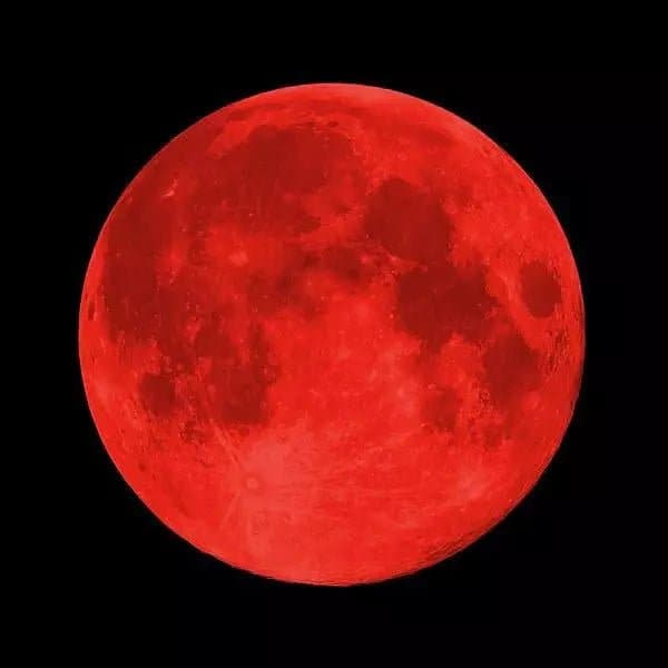 The Titan Bracelet - Moonglow - HER Home Design Boutique