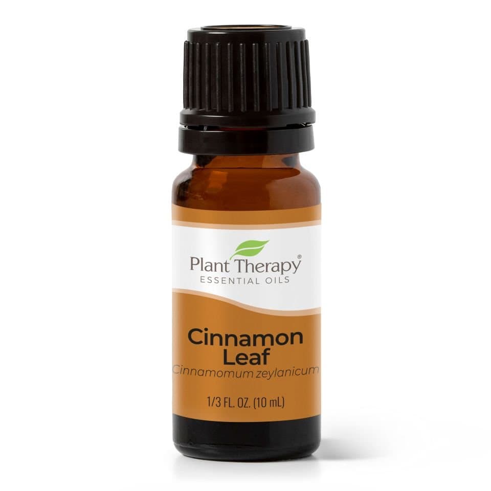 Cinnamon Leaf Essential Oil (10mL) - HER Home Design Boutique