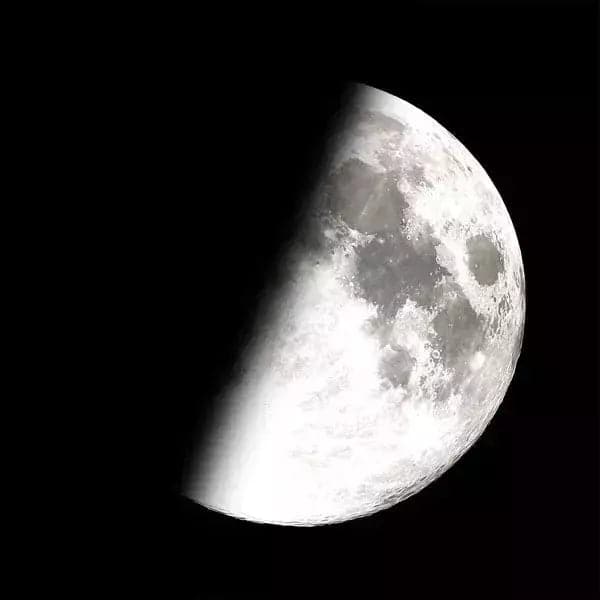 Moonglow Charmed Simplicity Necklace - HER Home Design Boutique