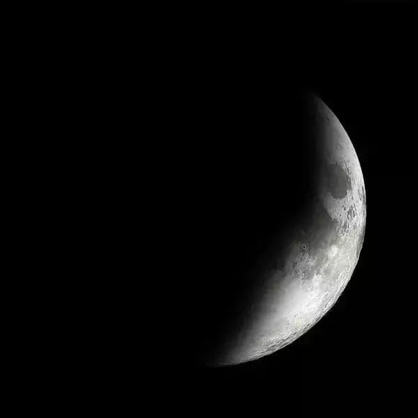 Moonglow Charmed Simplicity Necklace - HER Home Design Boutique