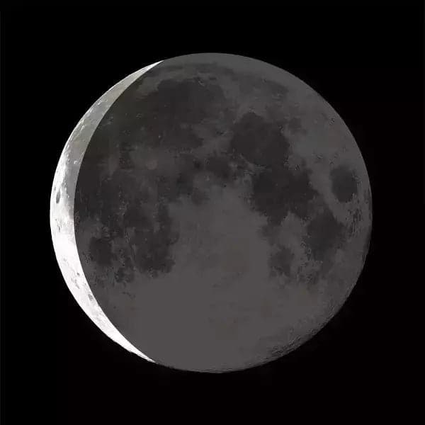 Moonglow Charmed Simplicity Necklace - HER Home Design Boutique