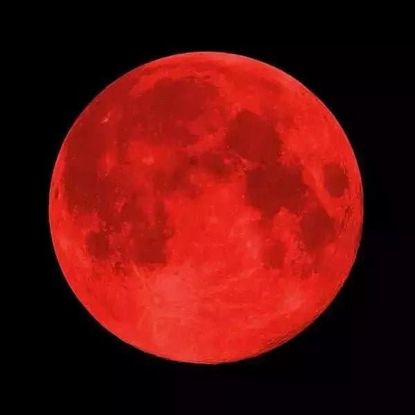 Moonglow Charmed Simplicity Necklace - HER Home Design Boutique