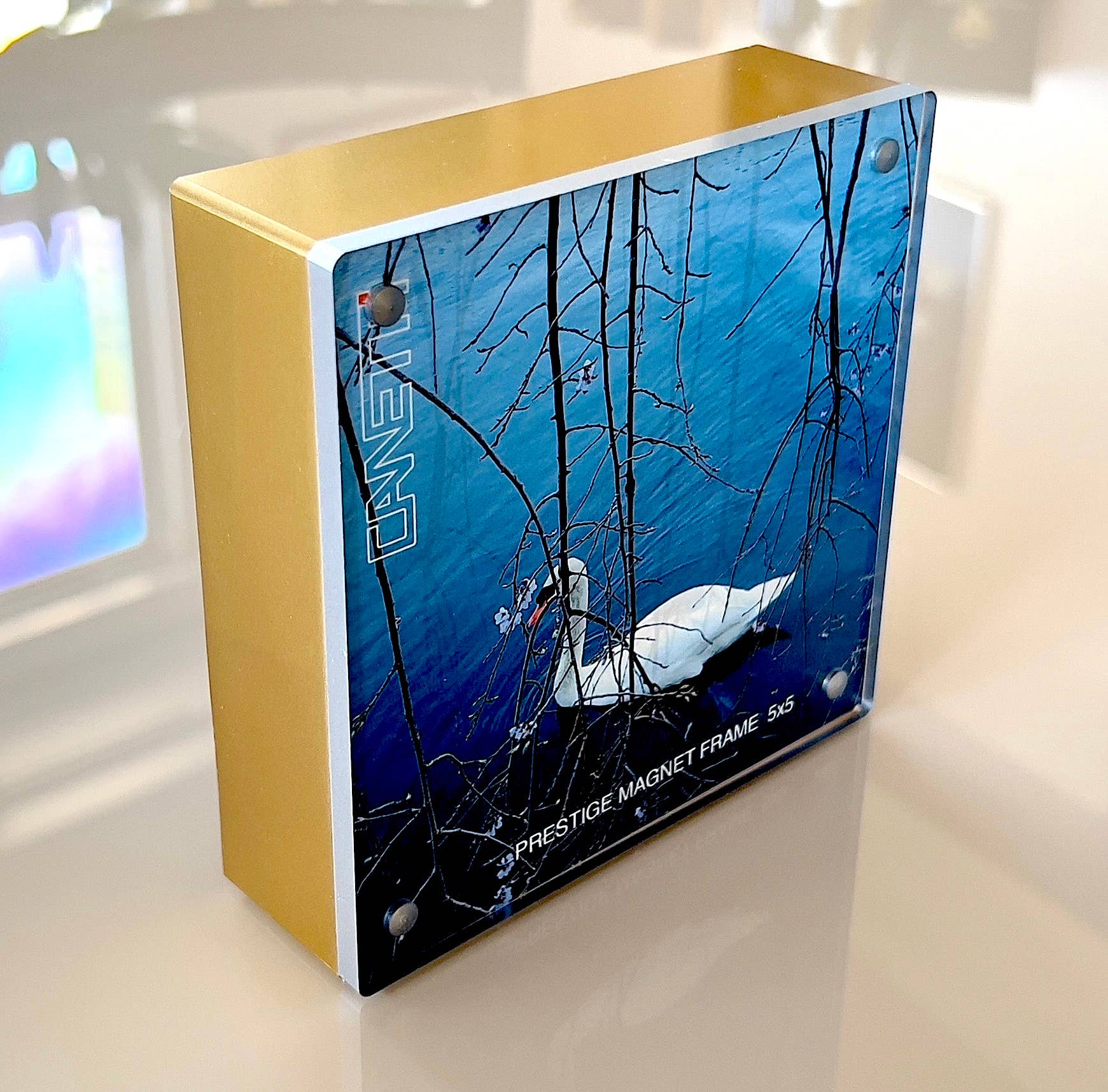 Prestige Magnet Frame: Silver / 5"x7" - HER Home Design Boutique