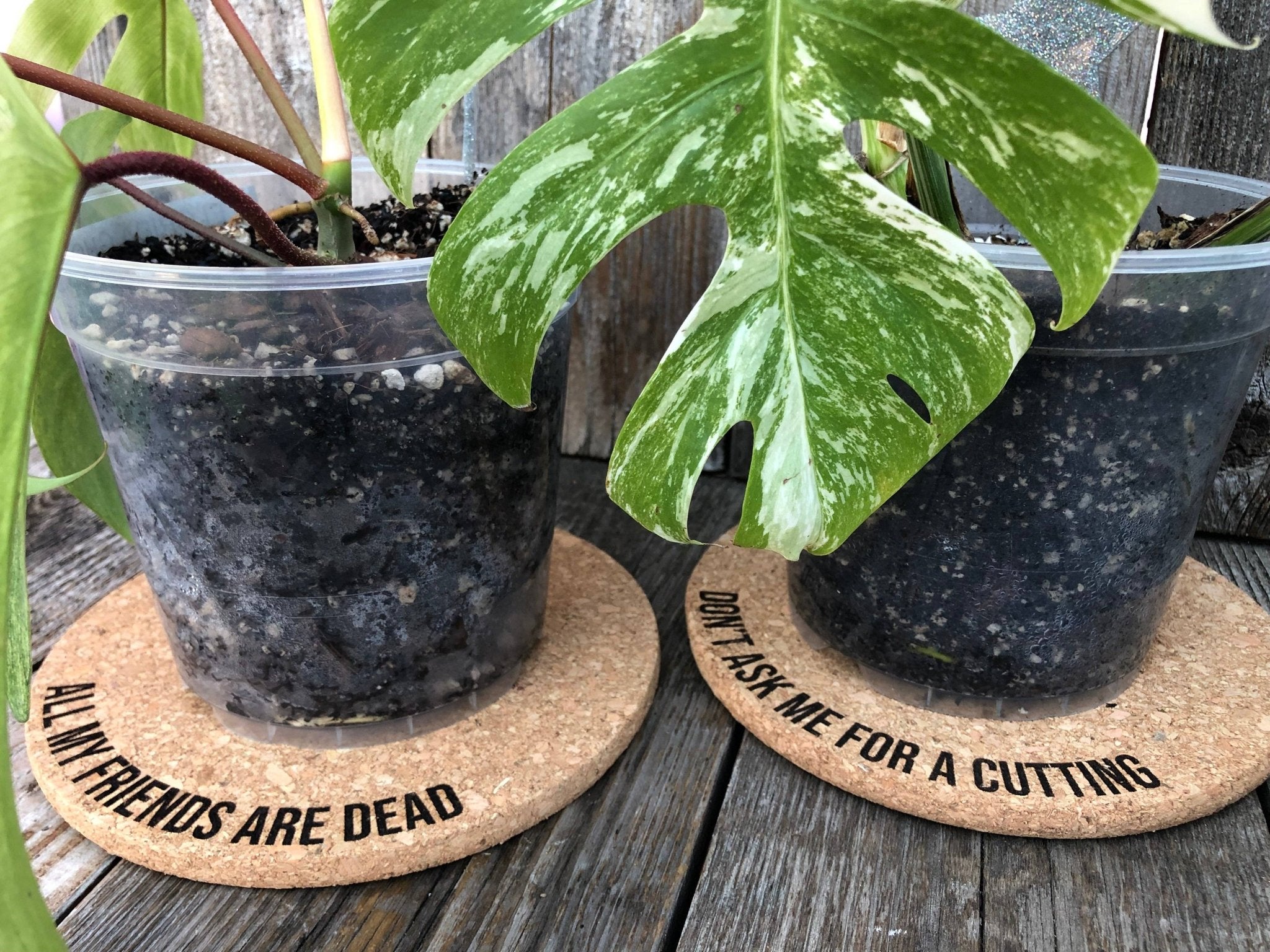 This Bitch is Trying to Kill Me Cork Plant Mat - Eng: 4 Inch Cork Plant Mat - HER Home Design Boutique