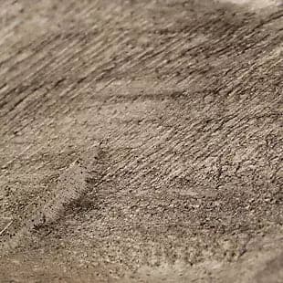 Wooden Sculpture in Antique White - HER Home Design Boutique